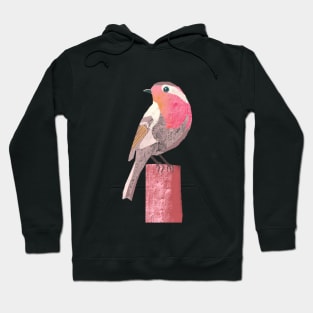 Robin illustration pink, yellow, red and grey colored bird Hoodie